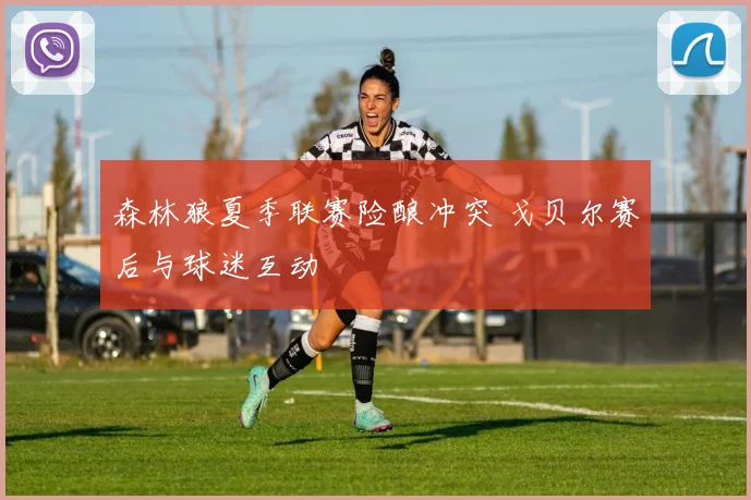 森林狼夏季联赛险酿冲突 戈贝尔赛后与球迷互动
